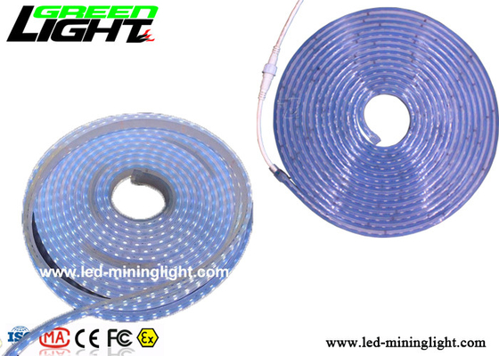 SMD5050 Kolory RGB Wodoodporne taśmy ledowe 24 V Niskie napięcie Przeciwwybuchowe