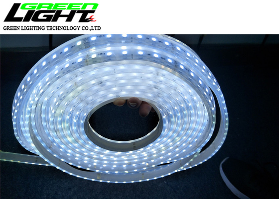 SMD5050 17W 24V 60 diod LED 85lum Led Flex Rope Light