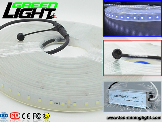 12v DC IP68 17W SMD5050 Elastyczne taśmy LED