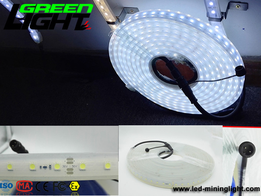 12v DC IP68 17W SMD5050 Elastyczne taśmy LED